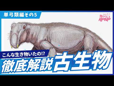 白亜マウルの古生物学チャンネル