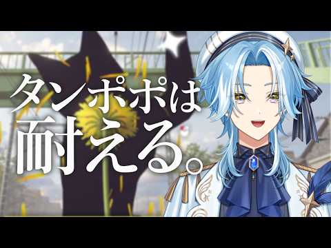  白波瀬ソル / Sol Shirahase