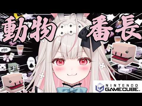 Nonochi Ch. 兎ノ花ののち