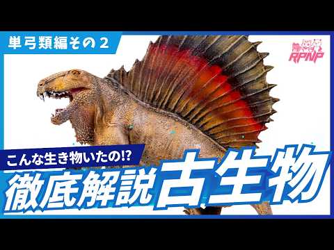 白亜マウルの古生物学チャンネル