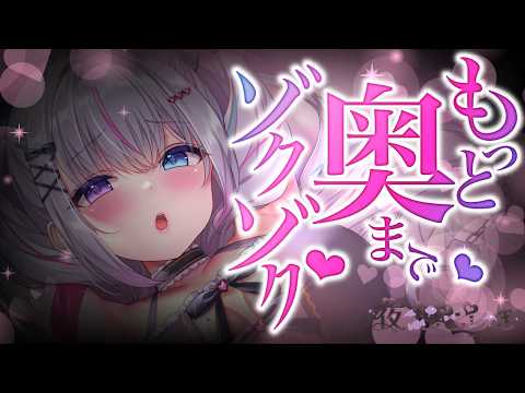 Toiki Ch. 夜想といき