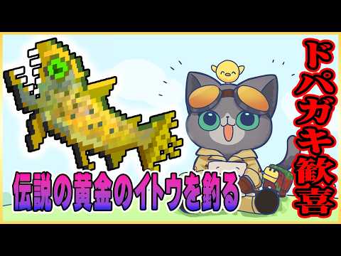 クーYouTubeちゃんねる