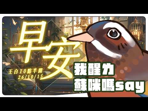 小金碧碧JinBee
