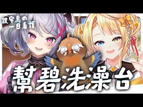 小金碧碧JinBee