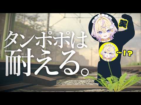 ぽめろ・ぱんち / Pomelo Punch 【にじさんじ】