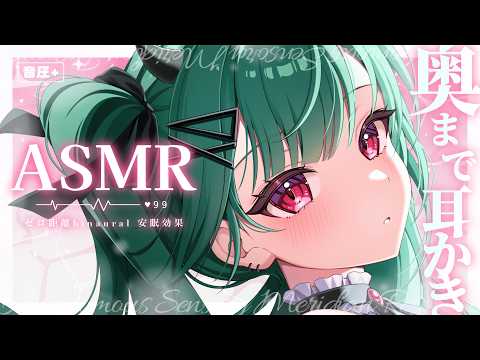nekomiya fuyuCh.猫宮ふゆ / プロプロゲーマーズ