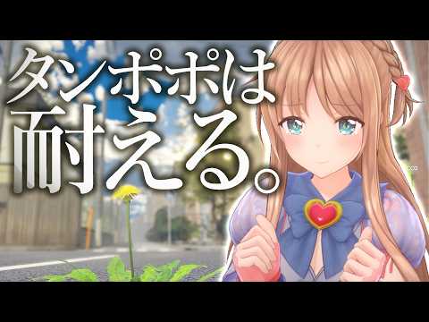 ひいなch