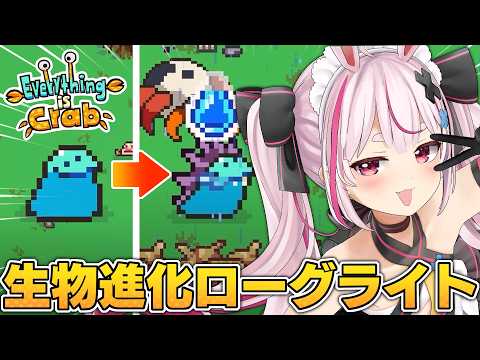 Tomari Mari channel / 兎鞠まりちゃんねる