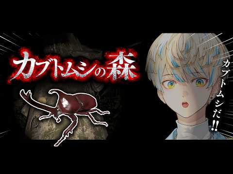 【カブトムシの森】あれは…カブトムシだッ!!!!【にじさんじ/緋八マナ】