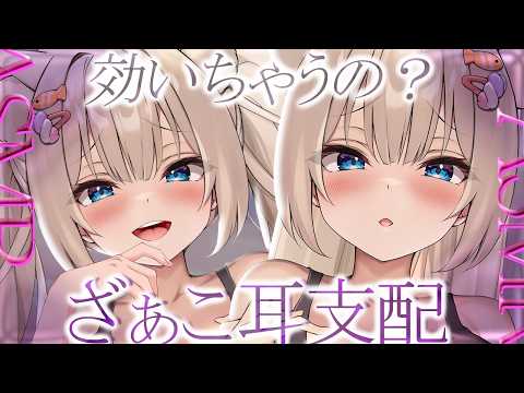 月待にゃも