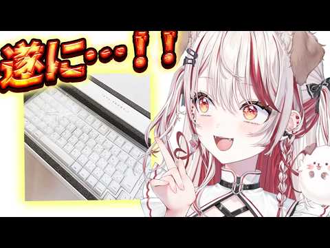 瀬島るい / Rui Channel 【ななしいんく】