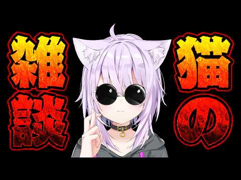 はい､猫の雑談です