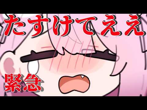 みけねこch