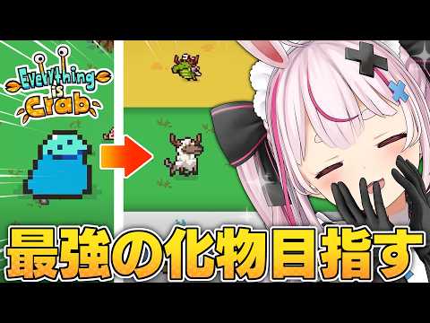 Tomari Mari channel / 兎鞠まりちゃんねる