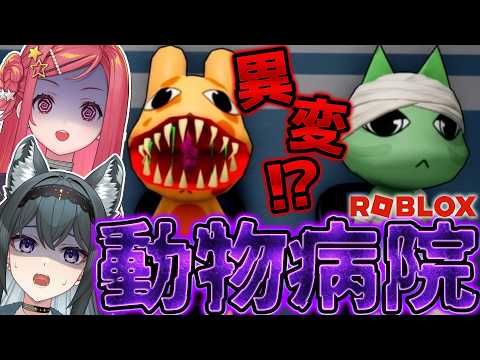 【Roblox】完全初見!Animal Hospial 動物病院(異変)をすたーりるでプレイ!【美星ゆめ/新人Vtuber】#縦型配信 #shorts