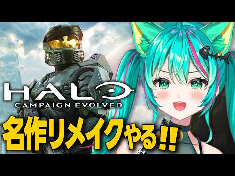 猫星ミント / Mint Ch.