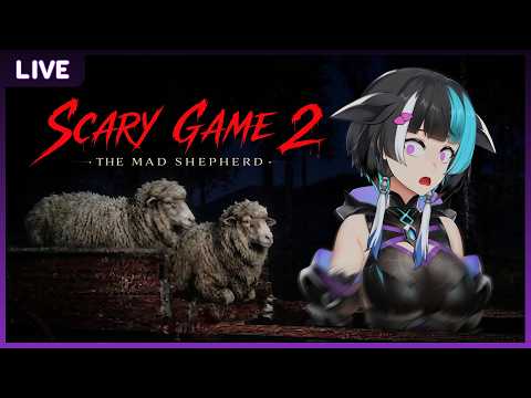 Nezumi Elze Ch. Pixela Legends