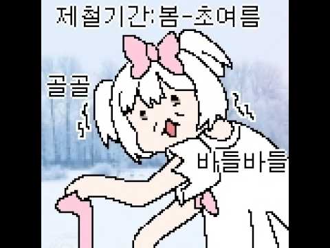류채경