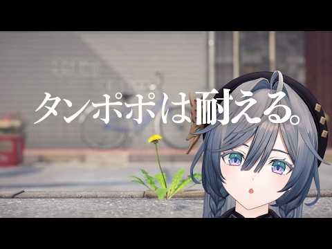 綺沙良 / Kisara【にじさんじ】