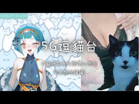 【 Reality 3D】5G逗貓台 真台主上班日!🐳【神子澤小鯨  /芥川組】#一閃一閃亮鯨鯨#初見歡迎#台v