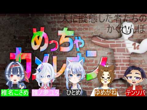 白布ひとめ