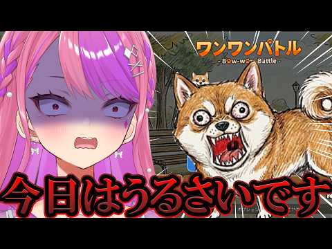 桜ノ宮レイ / DEALS CASINO