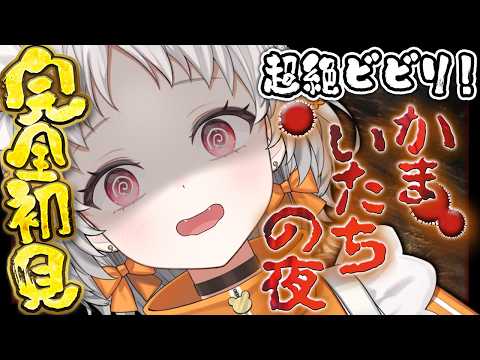 花束 ゆいは / Hanataba Yuiha