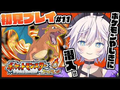 銀灰まお Mao Ch.