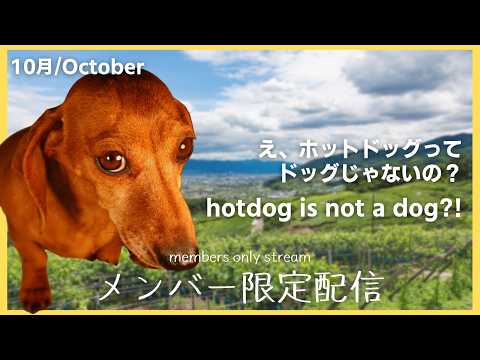 Iori Ch. 白鹿いおり【Phase Connect】
