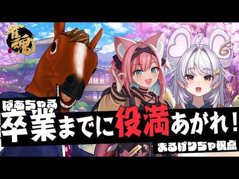 まるげりちゃ / Margher Richa