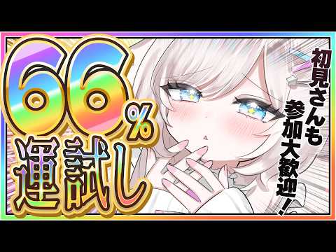 茶々プラムム / Pulamumu
