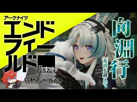 ドーラ