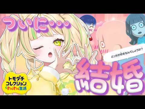 座敷わらび / Zashiki Warabi