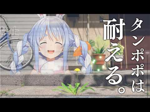 Pekora Ch. 兎田ぺこら
