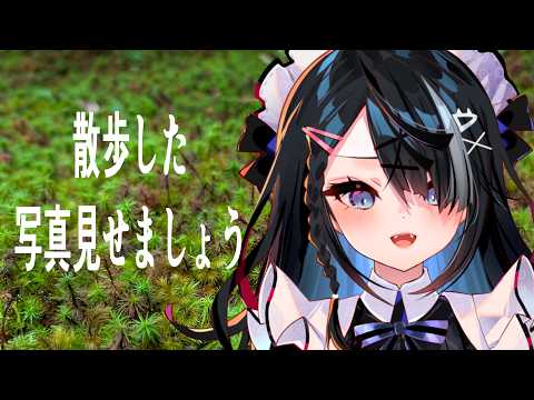 朝活雑談だ!京都少し散歩してきた!