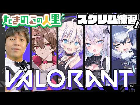 銀灰まお Mao Ch.