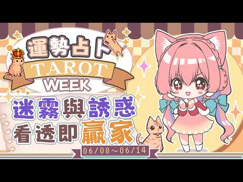 櫻野露 RURU Ch.