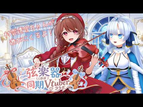 【#マイちご】初コラボ💓ほぼ同期の絃楽器Vtuber🎻🎻 とおちゃとおしゃべり🍓🎻村雲透音&夢音結マイ