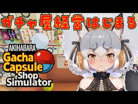 シマハイイロギツネ / Island Fox