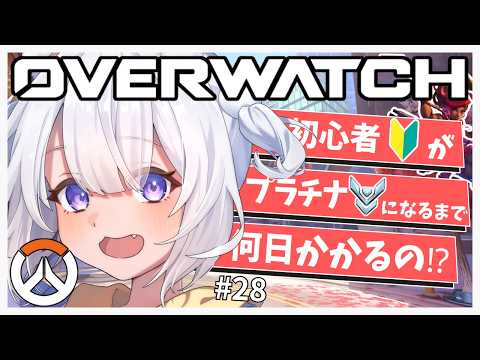 猫羽ころんNekohakoron