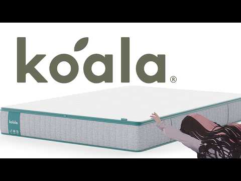 【 コアラマットレス 】ね、寝たい・・・・ 【ぶいすぽっ!/橘ひなの】