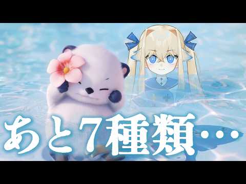 【企画】現在75種!欲張って色違いフォームとかも仕舞いたくなってきた!!：新作ゲーム「アニモ」82種類コンプ企画‼【シラナミチャンネル】