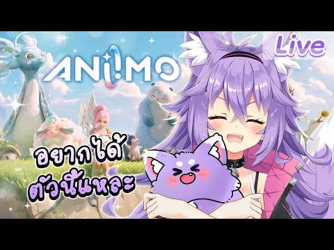 Kitsuneko Mewten Ch. Pixela-Isekai