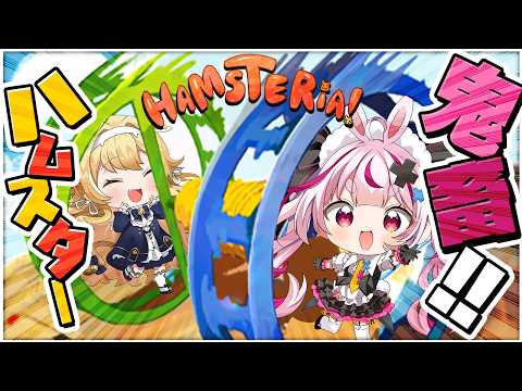 レグルシュ・ライオンハートReglush Lionheart