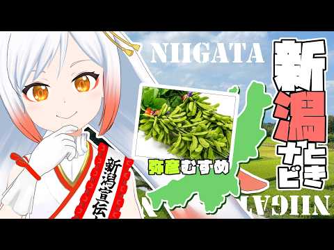 【新潟グルメ】えだまめ県ニイガタのはじまりだッ‼✨新潟グルメ情報をお届け🕊ときナビ【Vtuber越後屋ときな🌾勝手に新潟宣伝大使】#pr