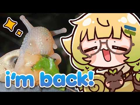 i'm back & i brought snails!  🐌 【LIVE SNAIL CAM】