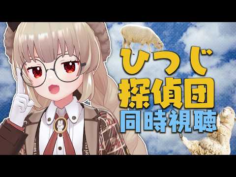 さなちゃんねる