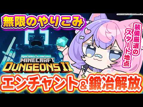 【マイクラ】個人的激アツ装備と効果内容の検証考察だーい!- #マイクラダンジョンズ2 -【 #若魔藤あんず / #にゃんたじあ! 】