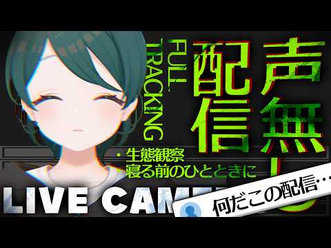 澄 / sumi