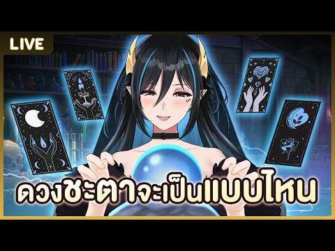 Umino Ciala Ch. Pixela Legends